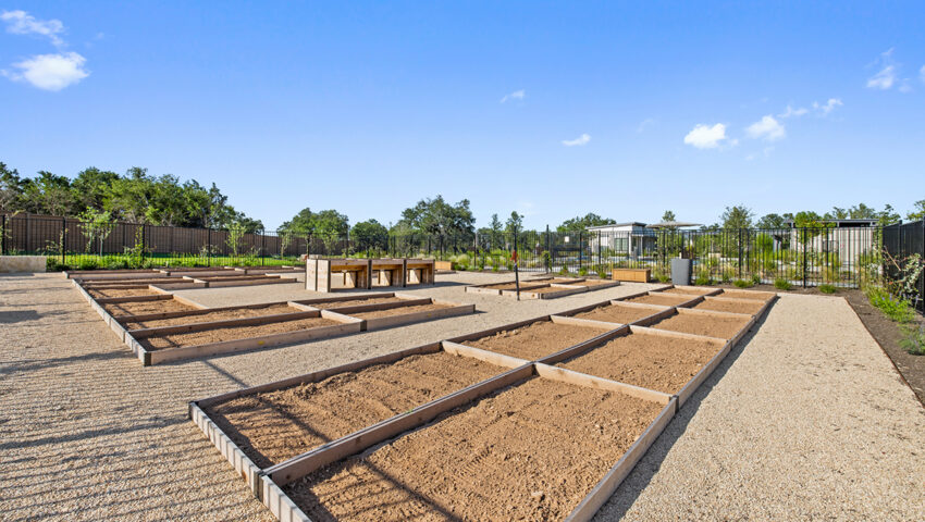 Anthem Master-planned Community Community Gardens
